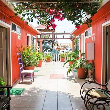Hotel Malarrimo By Rotamundos Guerrero Negro Exteriér fotografie